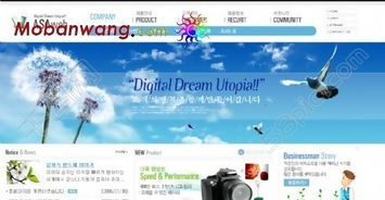 数码产品代理公司网页模板免费下载，HTML+CSS格式，设计编号15274638，千图网优质资源