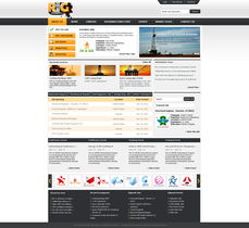 巴基斯坦Irfan96网页设计作品欣赏 融合传统与现代的视觉艺术